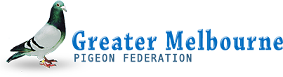 Pigeonrace — Australian Pigeon Racing Federations