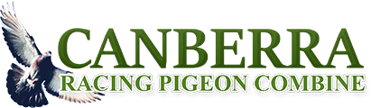 Pigeonrace · Australian Pigeon Racing Federations