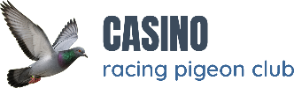 Pigeonrace — Australian Pigeon Racing Federations
